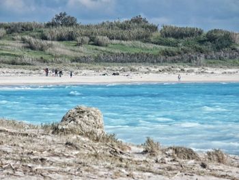 Rosignano white beaches