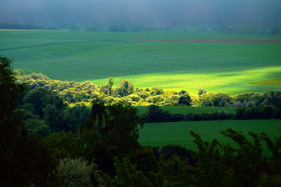 Scenic view of agricultural field against sky