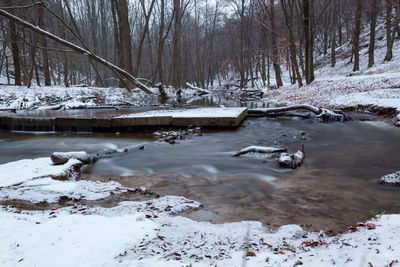 Snow covered land and bare trees during winter