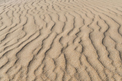 Full frame shot of sand dune