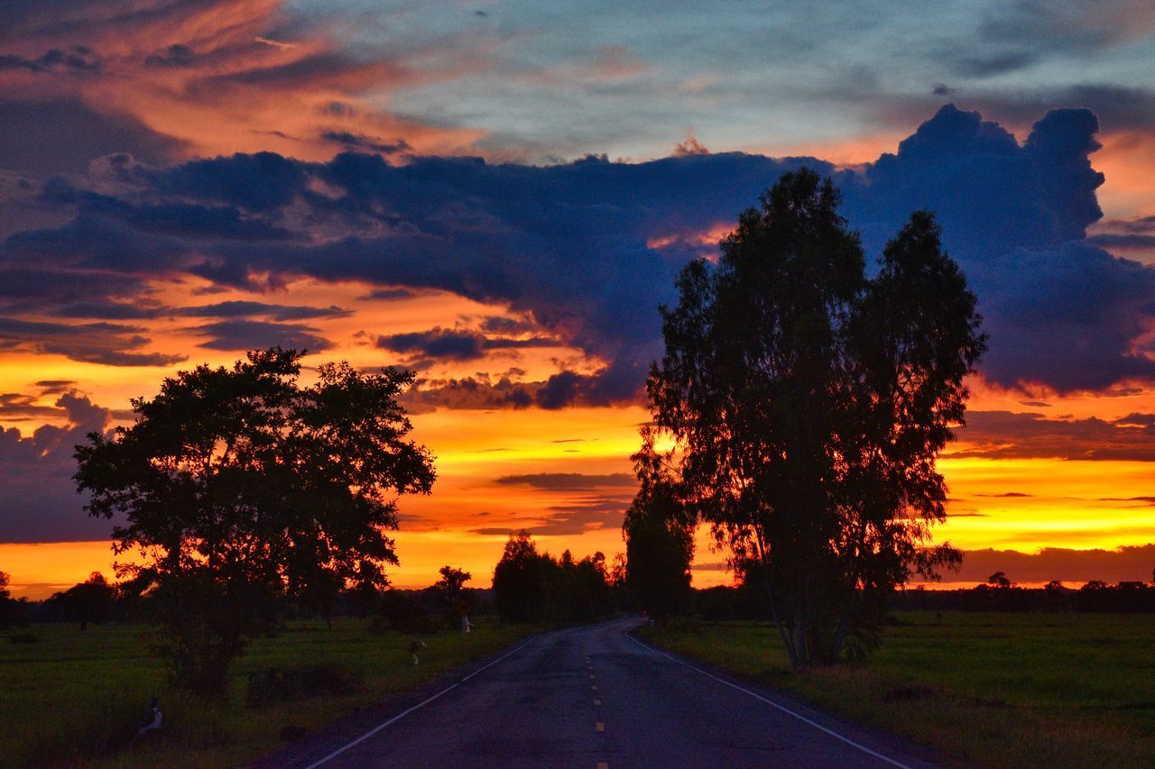 ROAD BY SILHOUETTE TREES AGAINST ORANGE SKY