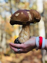 Close-up of hand holding mushroom