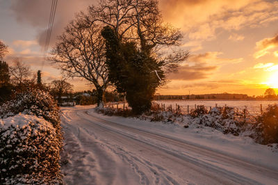 Snow covered road by trees against sky during sunset