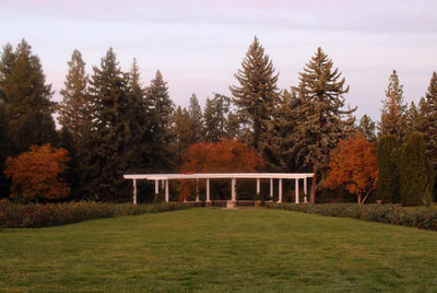 Scenic view of autumn trees against sky