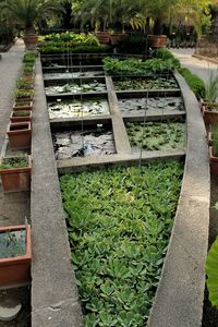 High angle view of formal garden