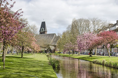 Canal amidst trees and buildings against sky