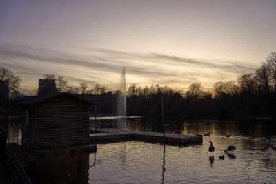 Birds in lake against sky