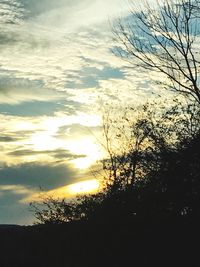 Low angle view of silhouette trees against sky at sunset