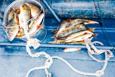 High angle view of fish on sea shore