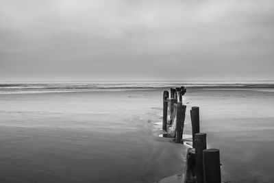 Wooden posts at beach against sky