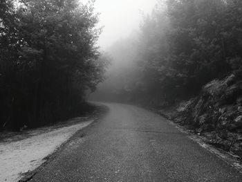 Road amidst trees in forest