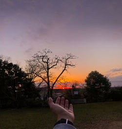 Man on field against sky during sunset