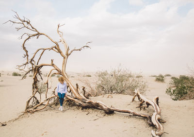 Woman sitting on bare tree at beach against sky 