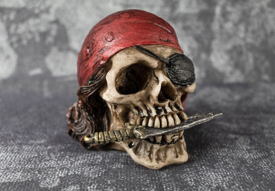 Close-up of human skull