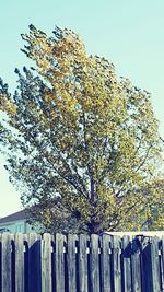 Low angle view of built structure