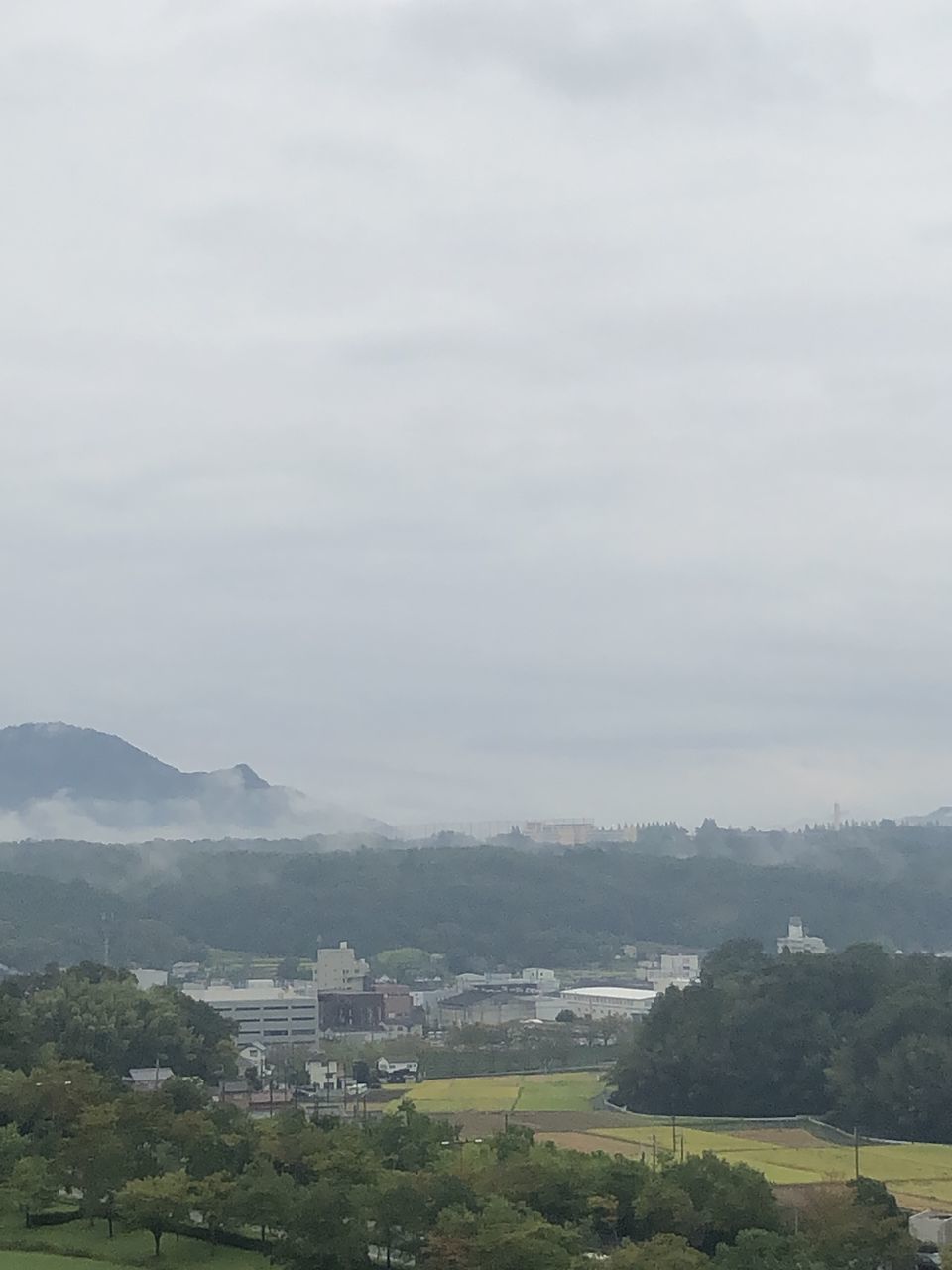 HIGH ANGLE VIEW OF TOWNSCAPE AND TREES AGAINST SKY