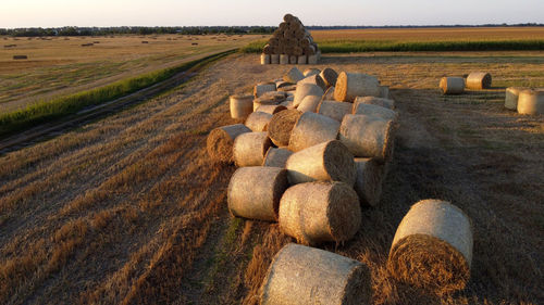 Hay bales on field