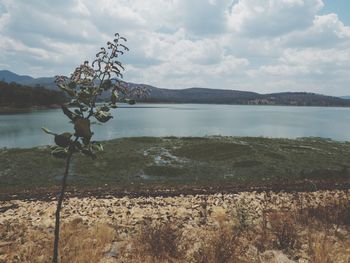 Scenic view of lake and mountains against sky