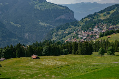 Scenic view of trees on field against mountains