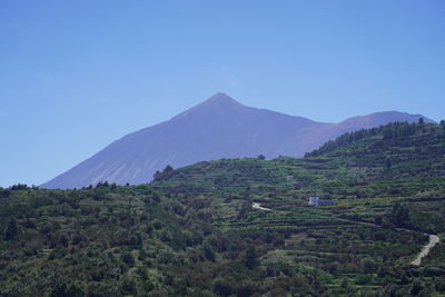 Scenic view of landscape against clear blue sky