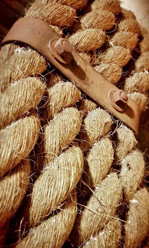 large group of objects, abundance, food and drink, food, indoors, healthy eating, still life, stack, close-up, freshness, heap, variation, high angle view, brown, for sale, market, firewood, choice, wood - material, raw food