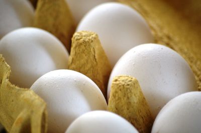 Close-up of eggs in container