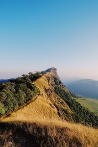 Scenic view of landscape against clear sky