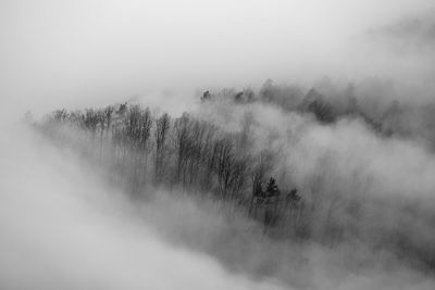 mist