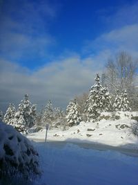 Scenic view of snow covered landscape