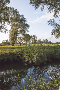 Scenic view of field by lake against sky