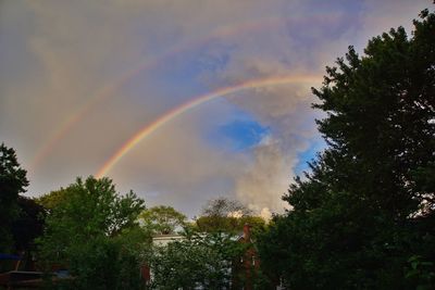 Rainbow over trees against cloudy sky