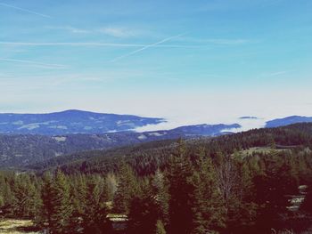 Scenic view of landscape against blue sky