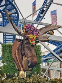 Close-up of an animal against plants