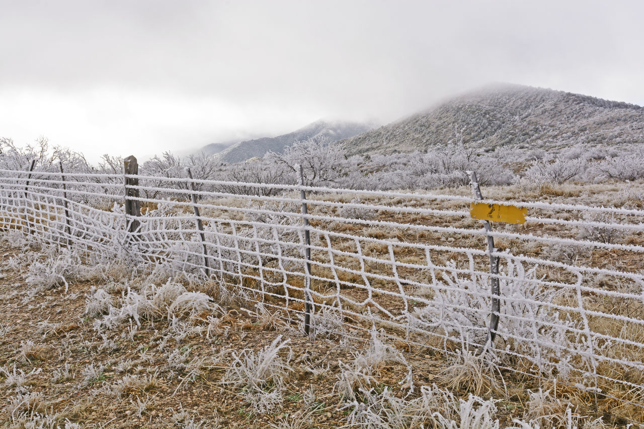 Ice on fence