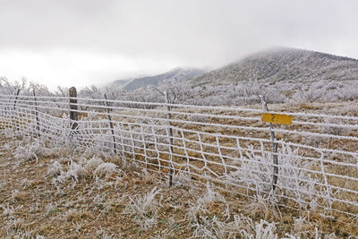 Texas ranch in an ice storm near alpine, texas