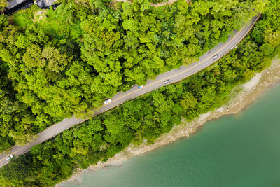 High angle view of road amidst trees