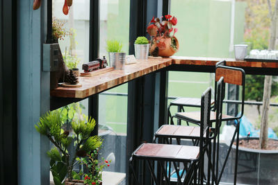 Potted plants on table at restaurant