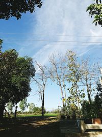 Trees against sky