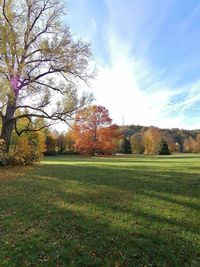 Trees on field against sky during autumn