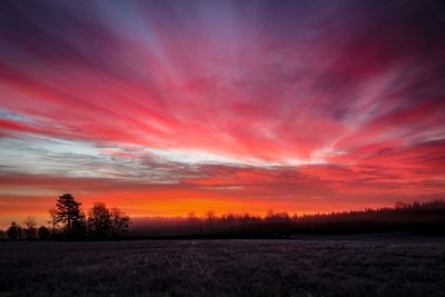 Scenic view of field against orange sky