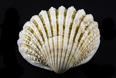 Close-up of multi colored background