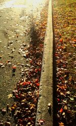 Railroad track on road