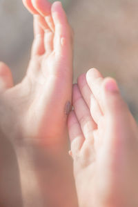 Close-up of hands holding baby feet