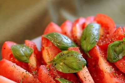 Close-up of chopped tomato salad in plate