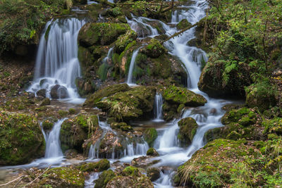 View of waterfall in forest