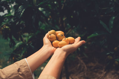 Two hands full of yellow fruits.