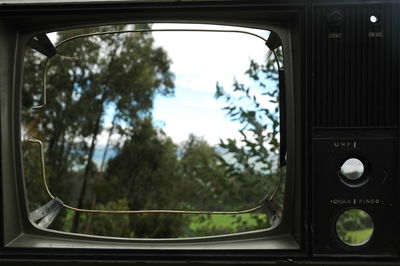 Close-up of trees seen through window