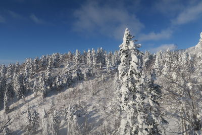 Low angle view of snowcapped mountain against sky