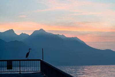 A heron sitting on a handrail is overlooking the sunset on the lake geneva