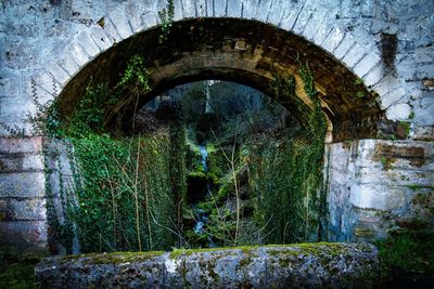 Close-up of old abandoned built structure